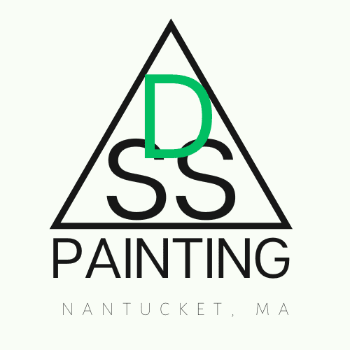 DSS Painting